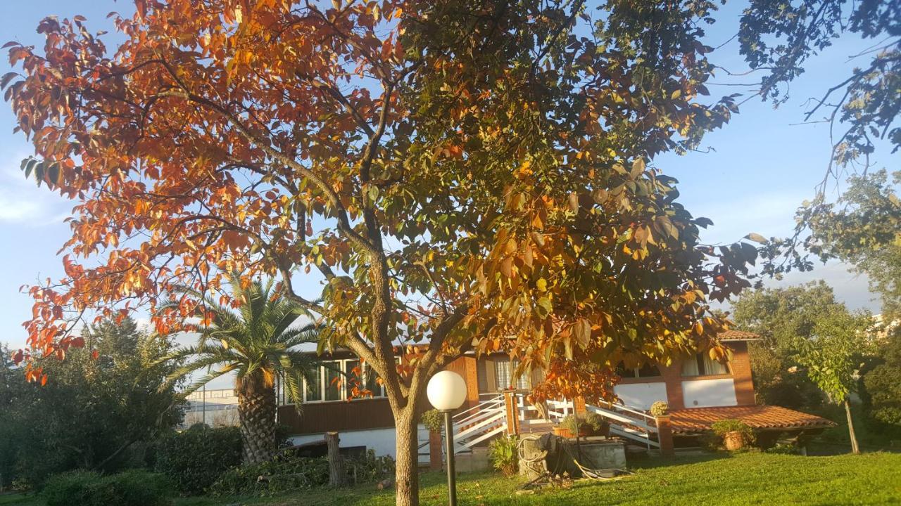 B&B Le Cinque Querce Viterbo Exterior foto