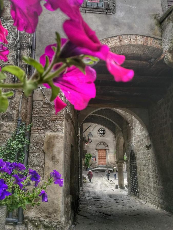 B&B Le Cinque Querce Viterbo Exterior foto